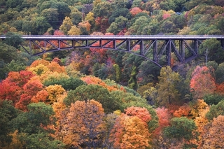 am500_sc083.jpg